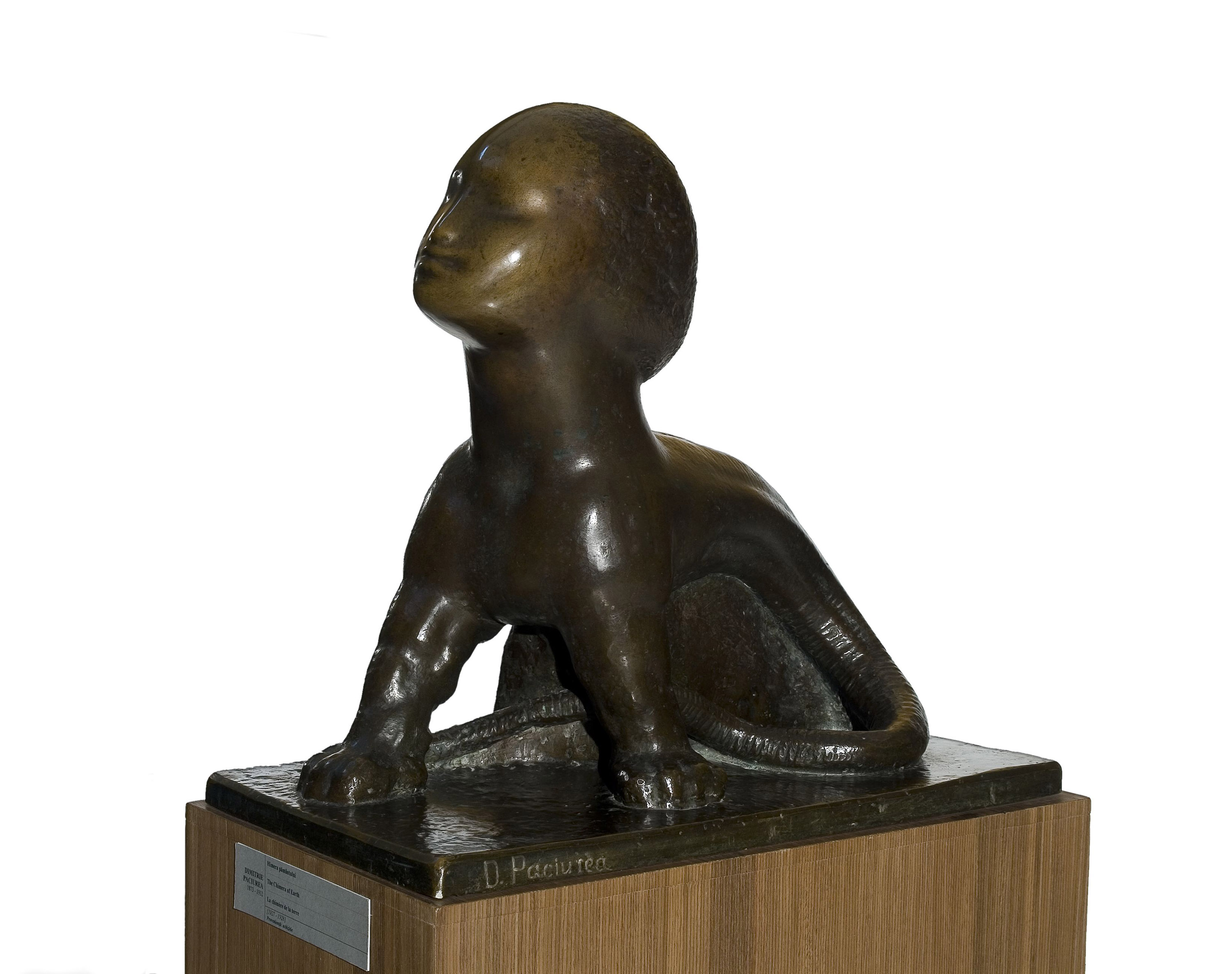 Paciurea - Himera pământului